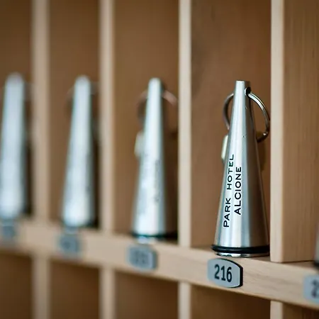 Phi Alcione 4* Francavilla Al Mare